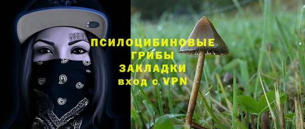 прущий лед Армянск