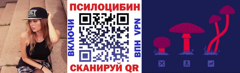 Псилоцибиновые грибы Psilocybe Сафоново